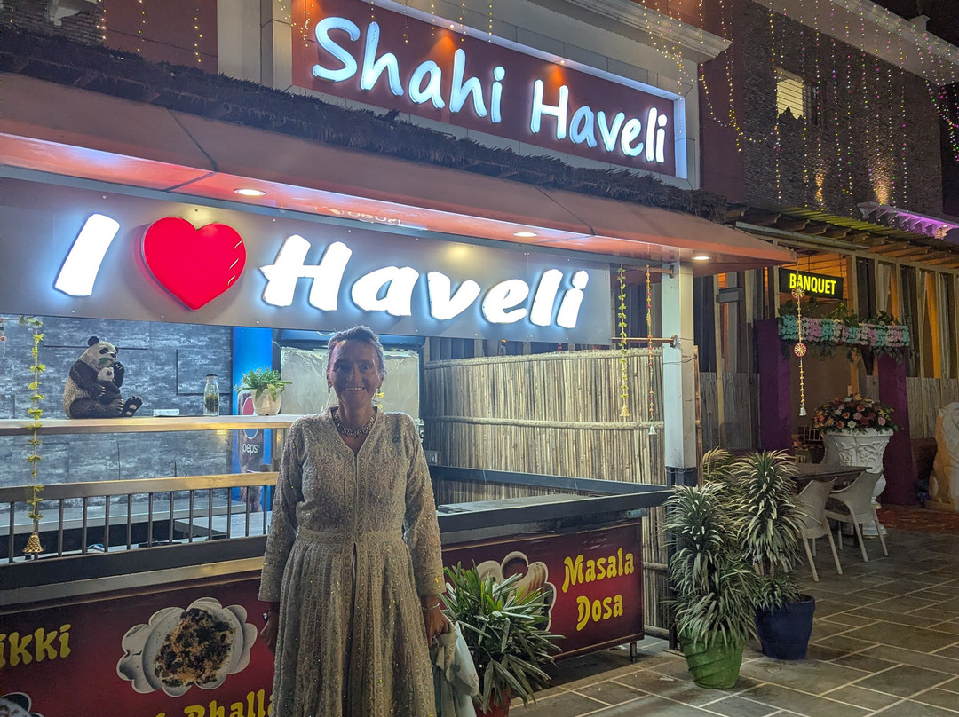 Hotel Shahi Haveli主图