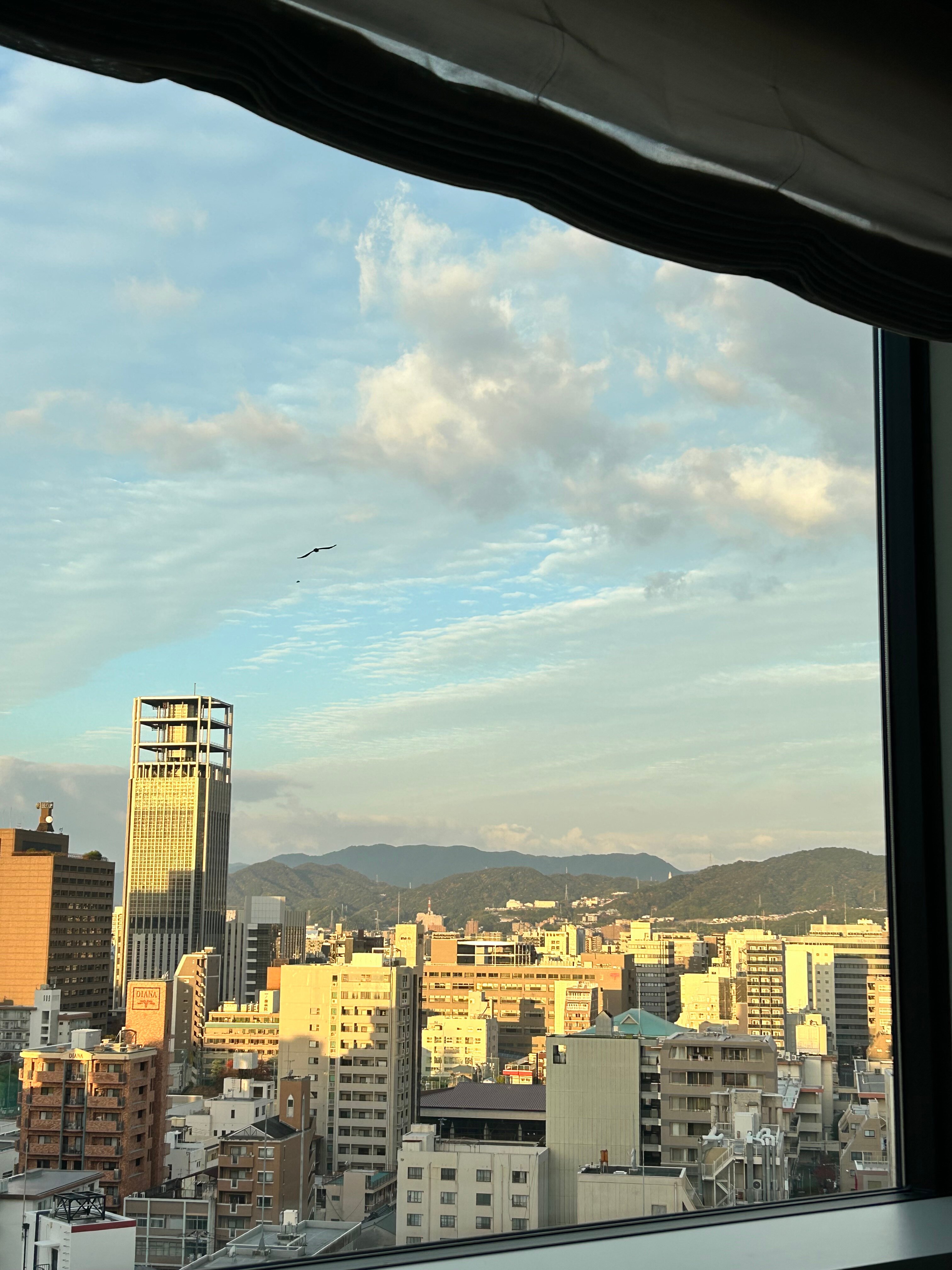 Hilton Hiroshima-客卧