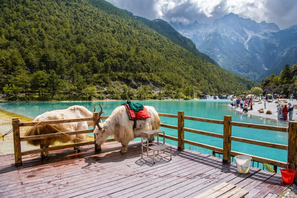 蓝月谷-丽江市必去景点