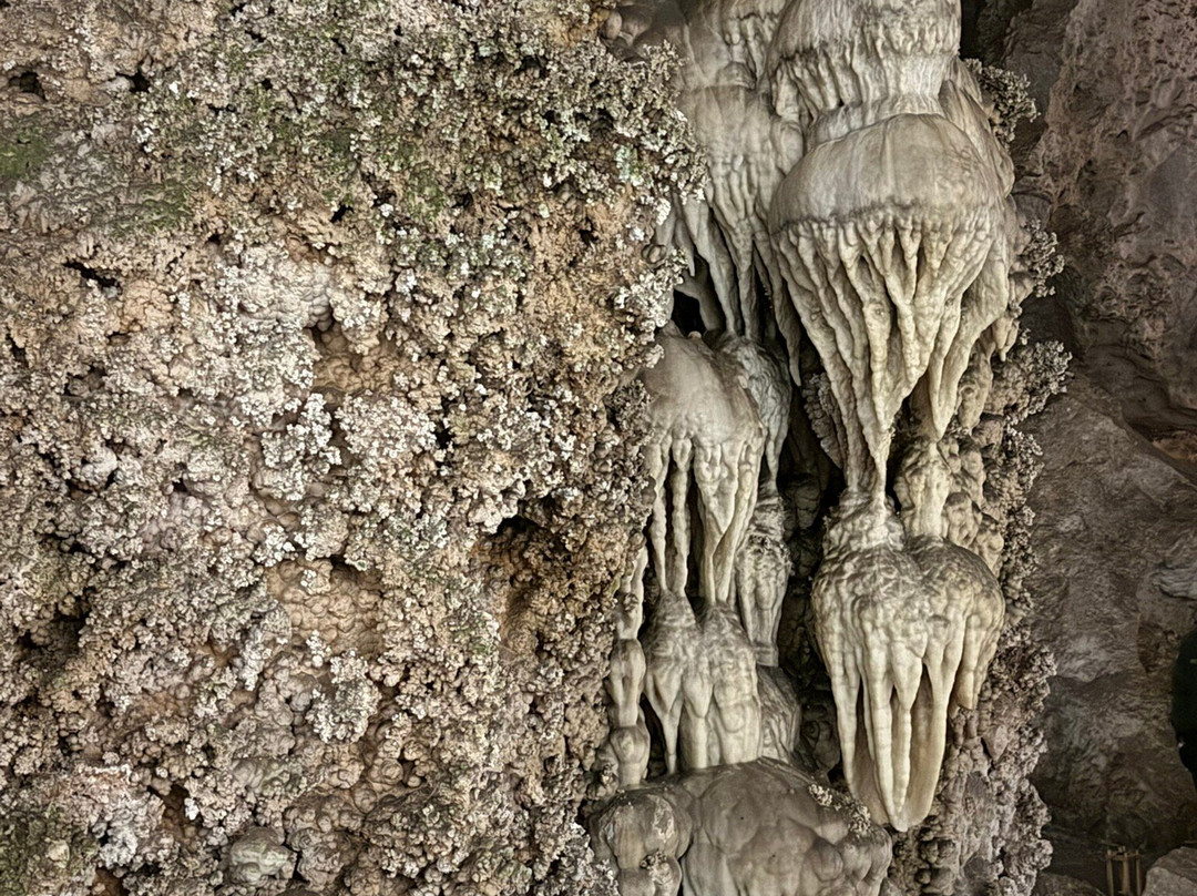 Carlsbad Caverns National Park Visitor Center-卡尔斯巴德洞穴国家公园必去景点