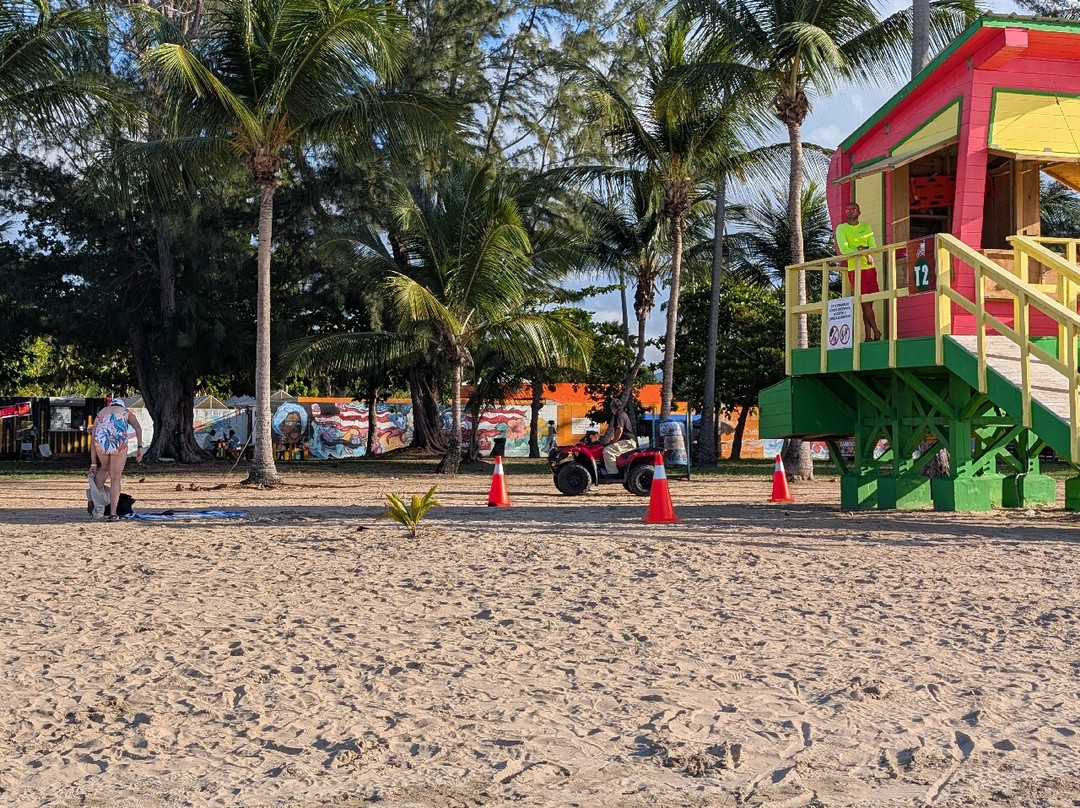 Beep Beep Jeep-圣胡安必去景点