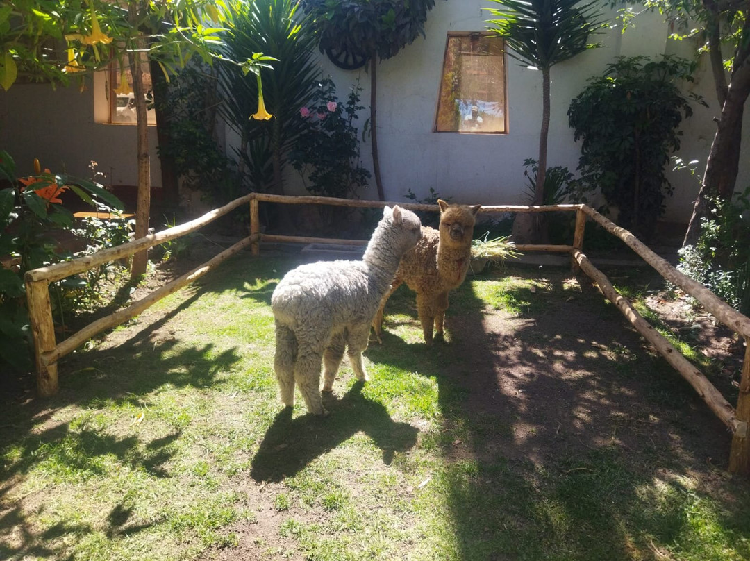 Los 3 Mosqueteros del Valle