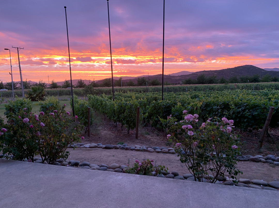 Estampa Winery-Palmilla必去景点