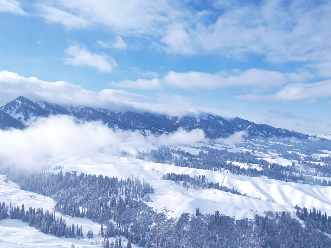 Xinjiang Heart Meadow-伊宁县必去景点