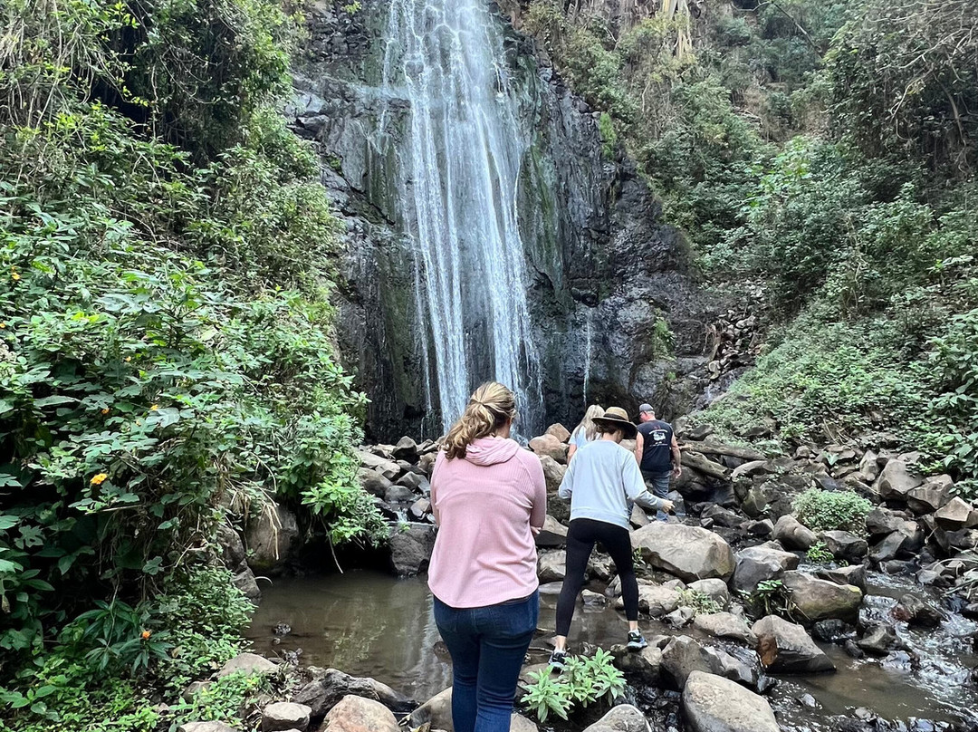 Hotel Agua Blanca主图