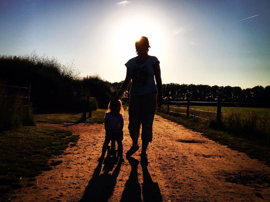 Koe In De Kost主图