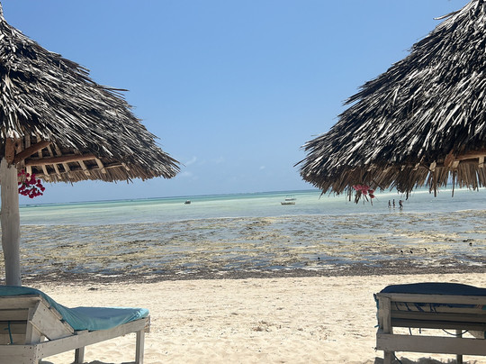 Watamu Safari Kenya-瓦塔木必去景点