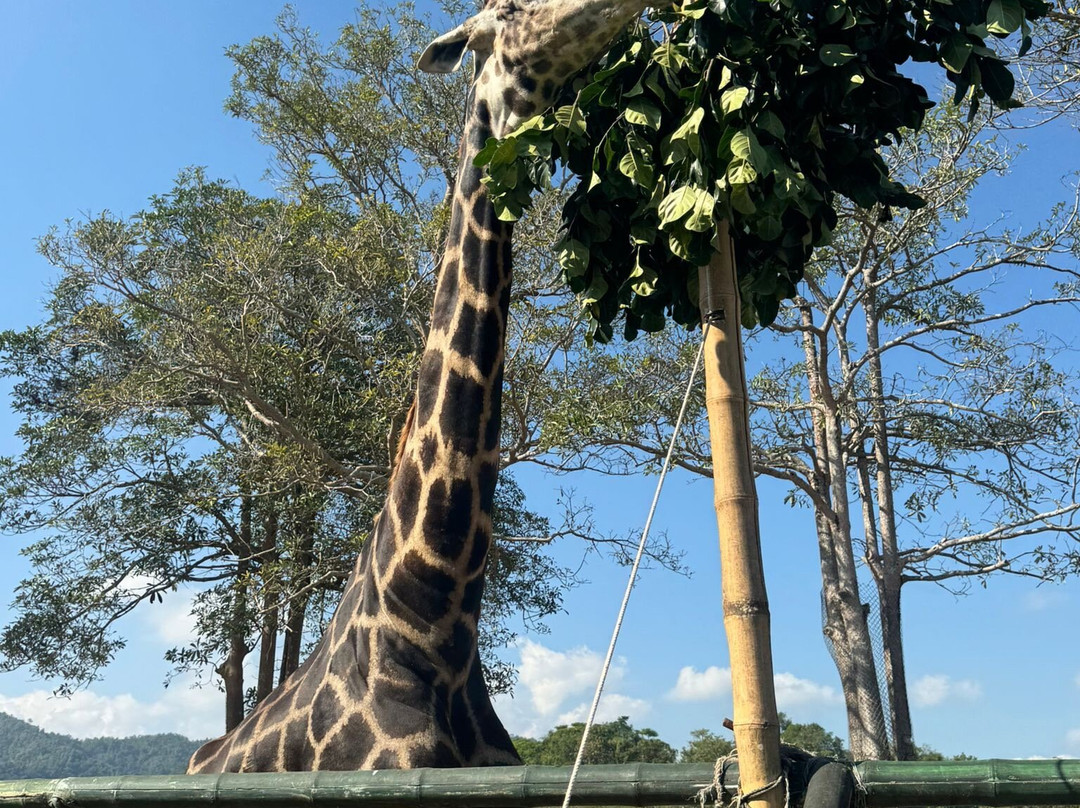 辛哈公园-Mae Kon必去景点