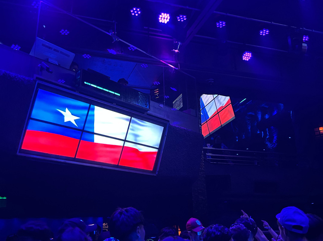 Viajes Turismo Sur Extremo-普孔必去景点