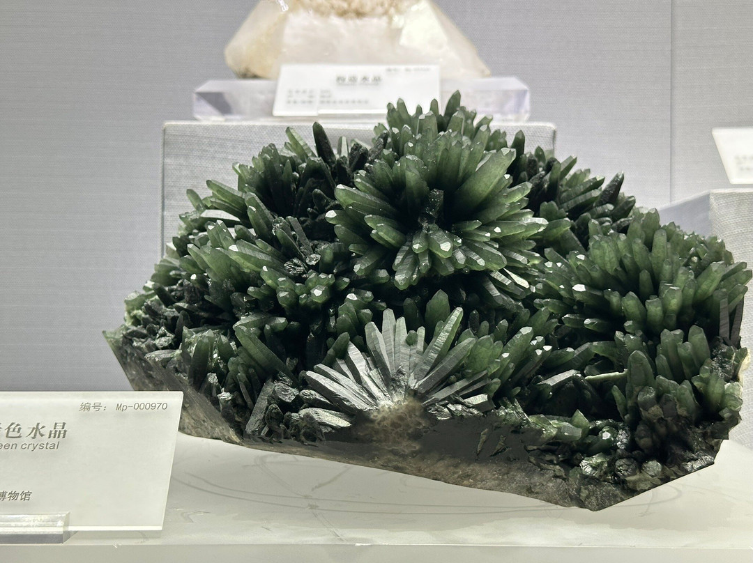 湖南省地质博物馆-长沙市必去景点