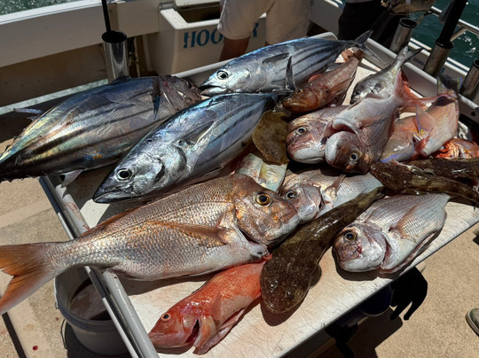 Hooker 1 Fishing Charters-梅因海滩必去景点