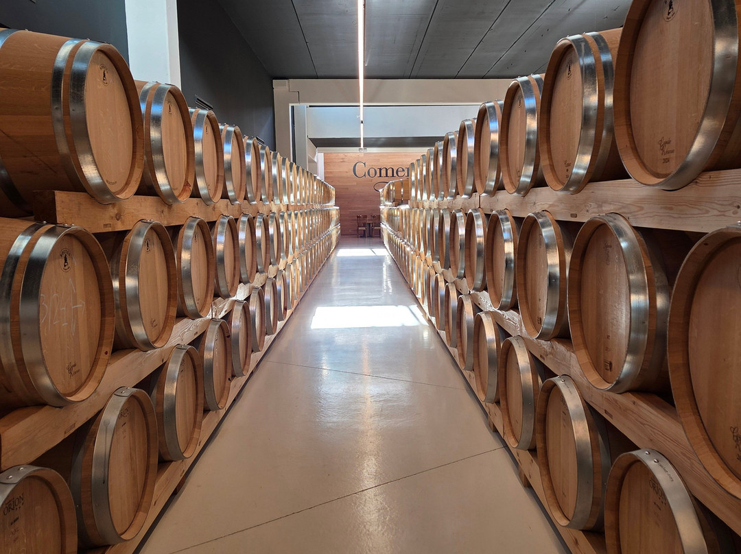 Bodegas Comenge-Curiel de Duero必去景点