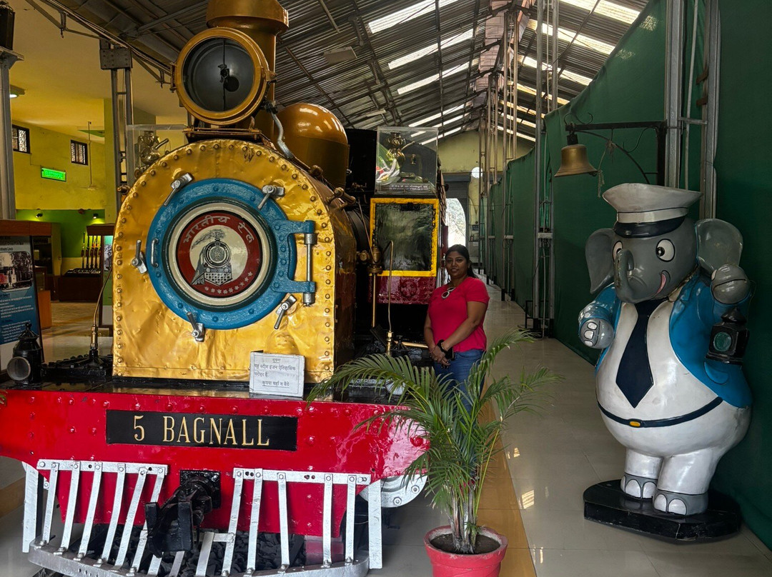 Narrow Gauge Rail Museum-那格浦尔必去景点