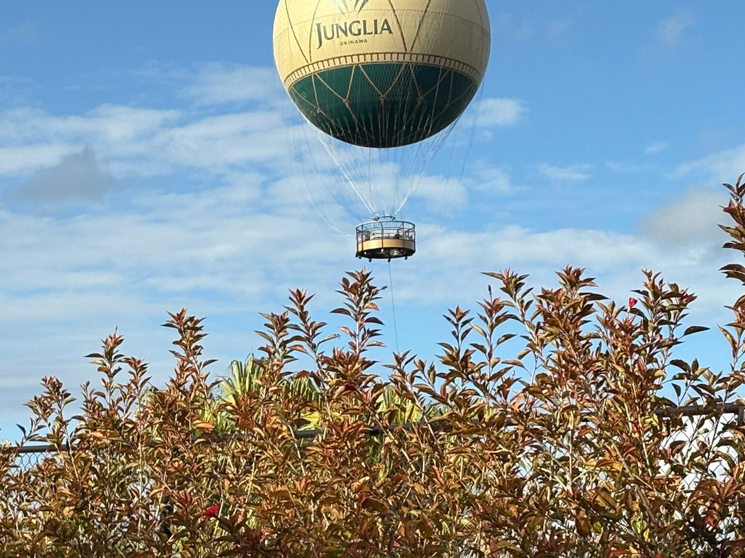Junglia Okinawa-今归仁村必去景点
