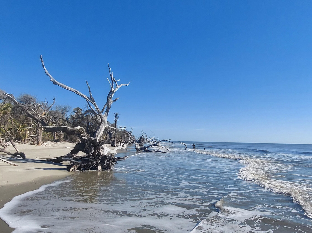 Bulls Island Ferry-Awendaw必去景点