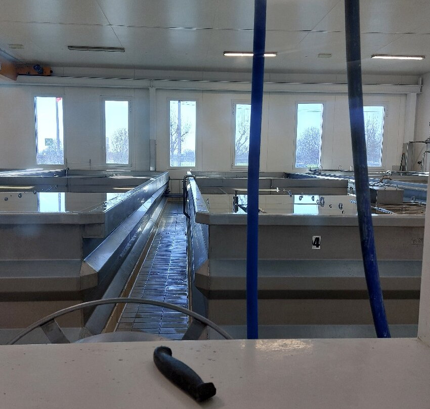 4 Madonne Caseificio dell'Emilia-摩德纳必去景点