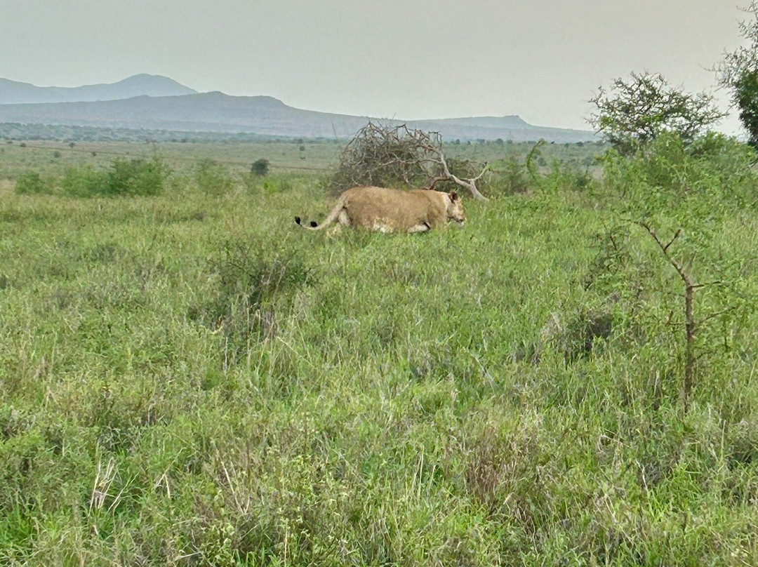 Taita Hills Wildlife Sanctuary-西察沃国家公园必去景点