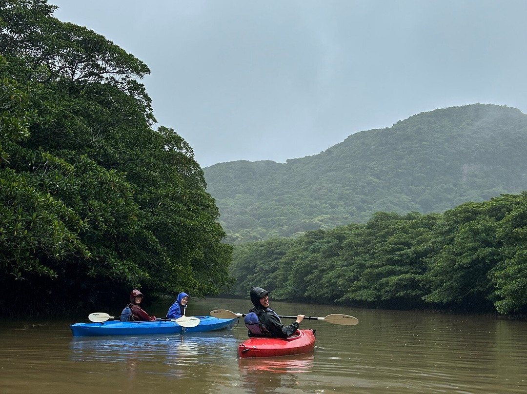 Iriomote Island Kayaks Kazaguruma-竹富町西表岛必去景点