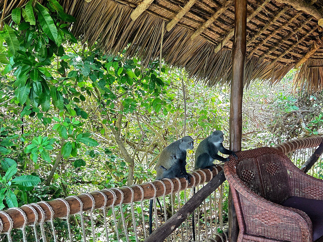 Kitu Kiblu: Responsible Marine Encounters-马菲亚岛必去景点