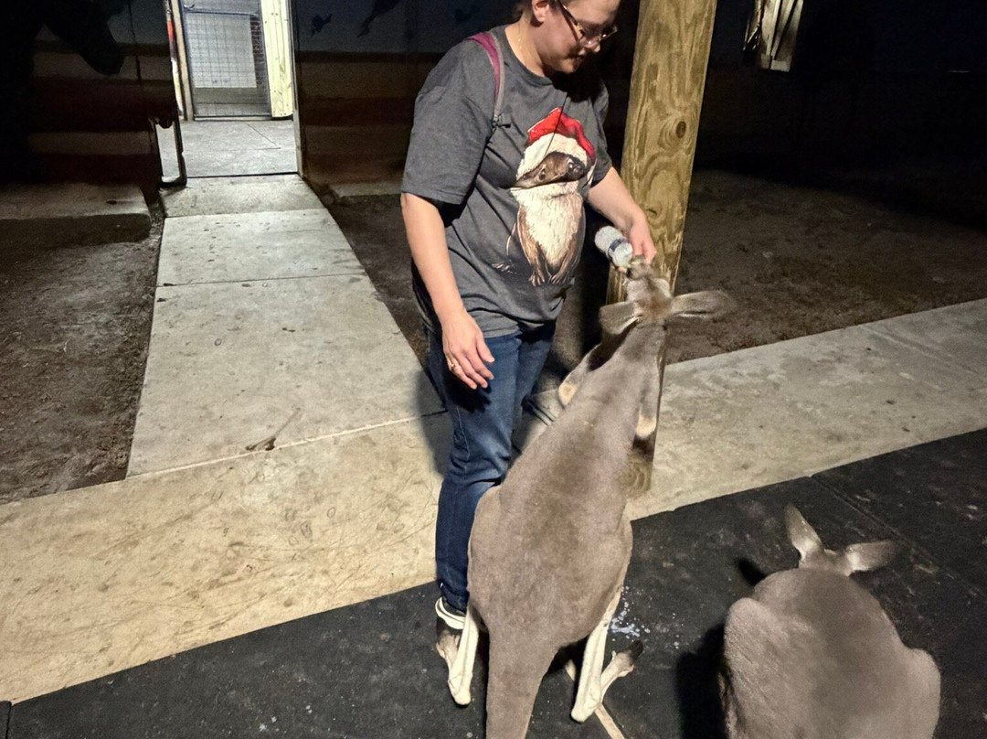 Animal EDventure Park & Safari-博因顿海滩必去景点