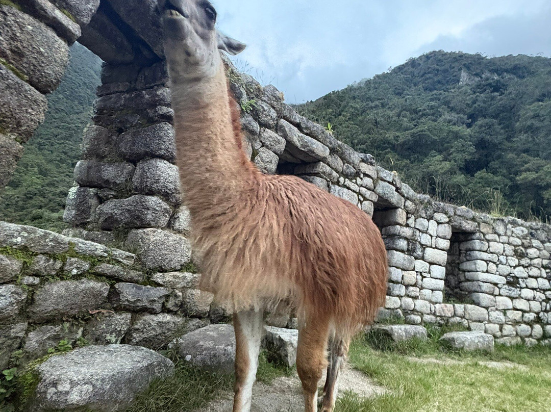 Evolution Treks Peru-库斯科必去景点
