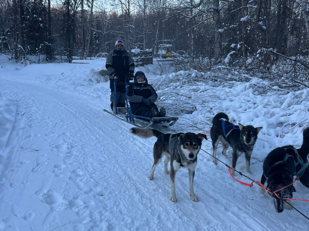 Snowhook Adventure Guides of Alaska-Willow必去景点