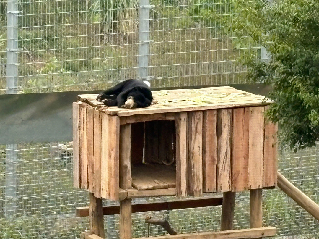 Bear Sanctuary Ninh Binh-宁平必去景点
