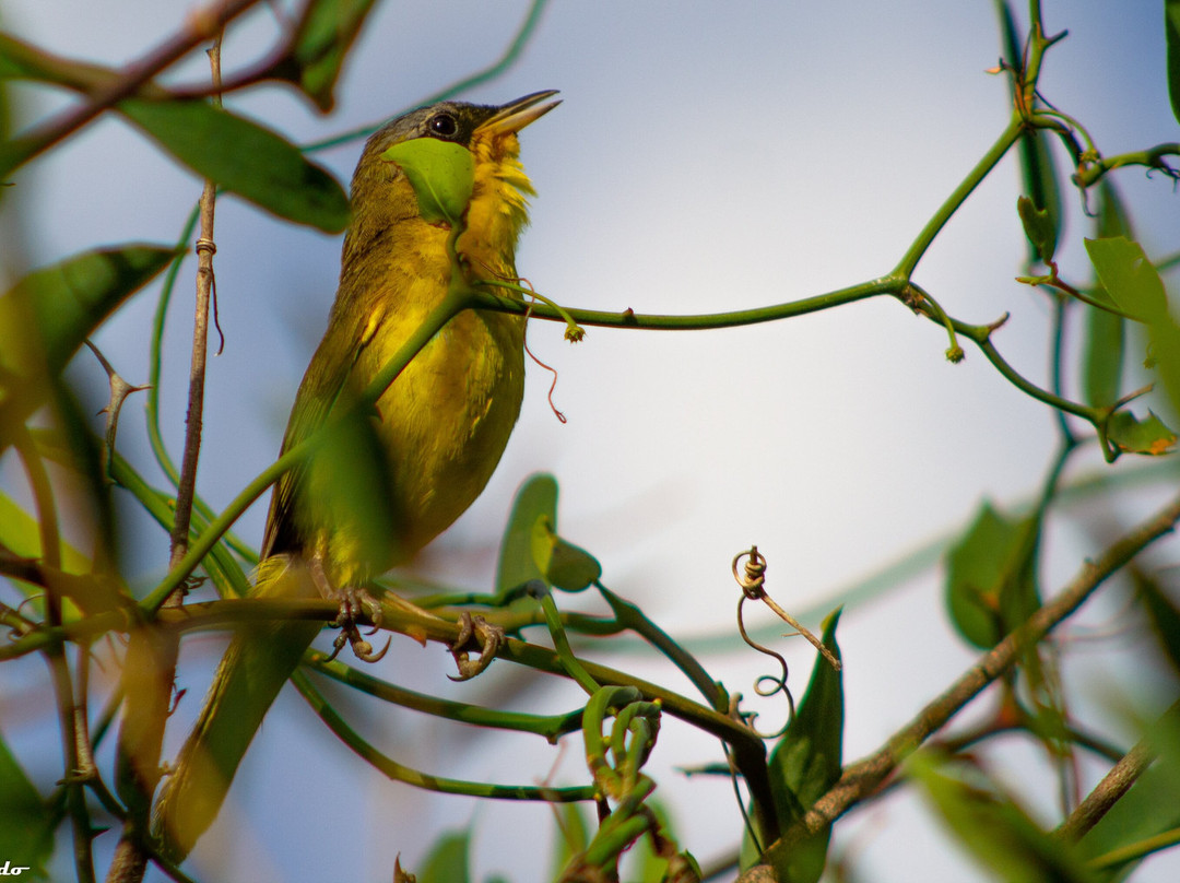 Complejo Costa Alta主图