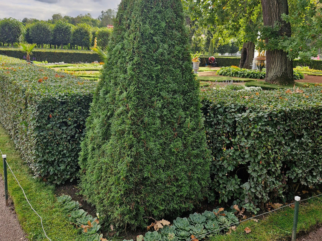 ExpertTour-圣彼得堡必去景点