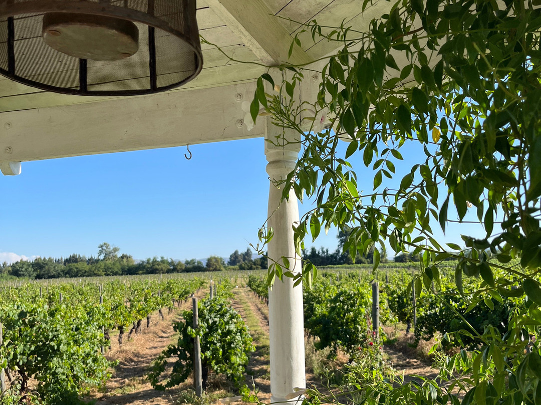 Hotel TerraVina主图