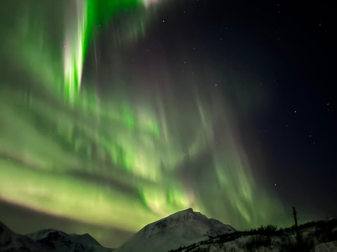 Freediving school - Apneists UK-曼彻斯特必去景点