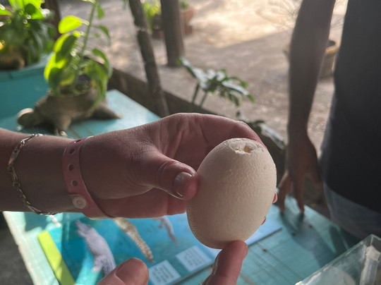 Santuario de Cocodrilos El Cora-Bucerias必去景点