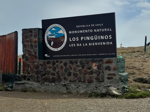 isla magdalena-蓬塔阿雷纳斯必去景点