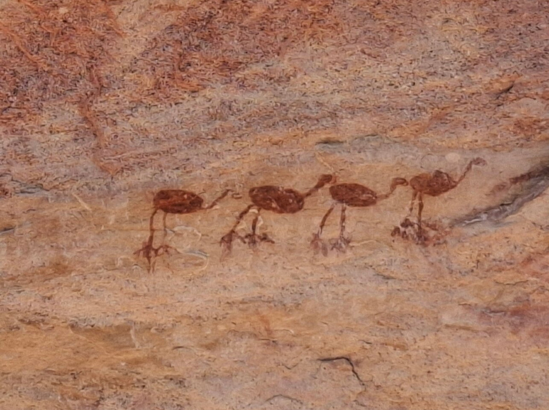 卡皮瓦拉山国家公园-Serra da Capivara National Park必去景点