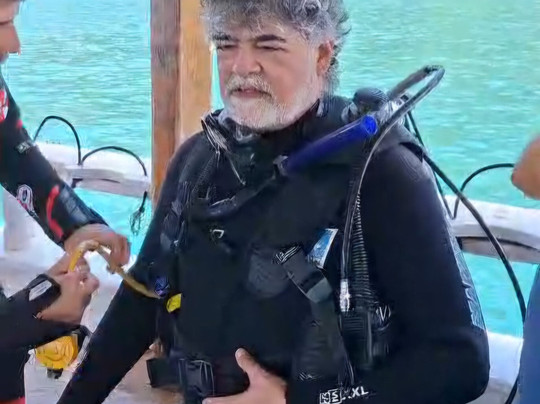 Narwhal-伊利亚贝拉必去景点