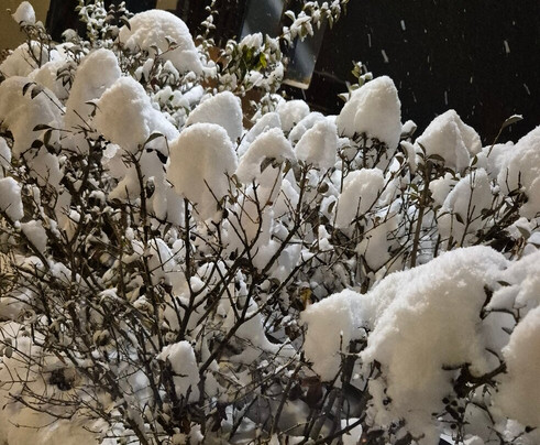 Locanda la Brenva - Hotel & Restaurant主图