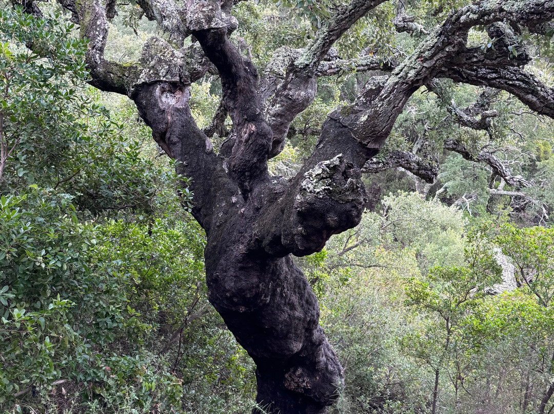PerNatur - Nature Trails-奥良必去景点