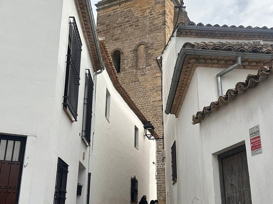 Puerta De Jaén Y Arco De Villalar-巴埃萨必去景点