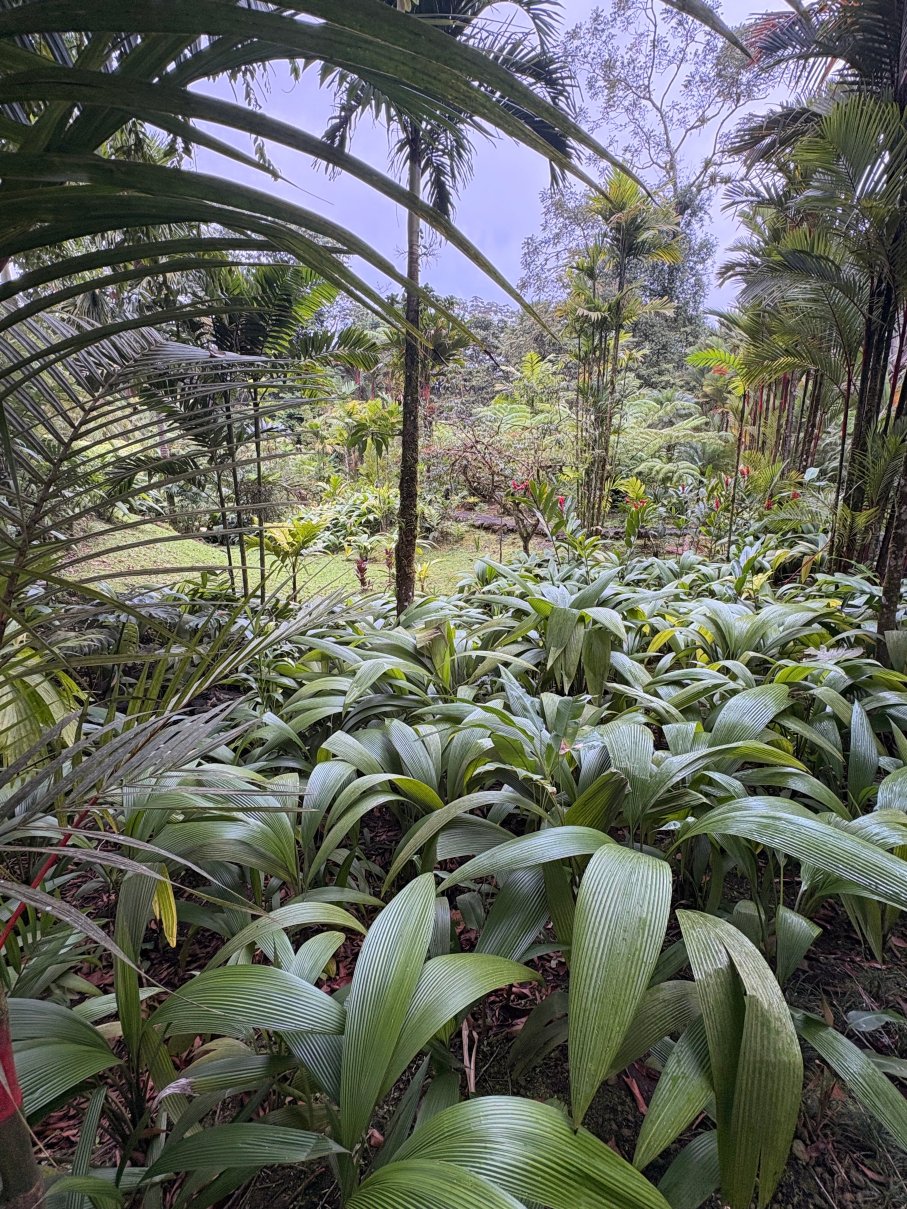 塔巴肯豪华热温泉度假酒店-浴室