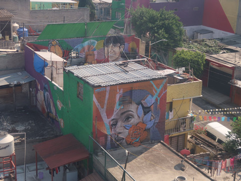 Kactus-墨西哥城必去景点