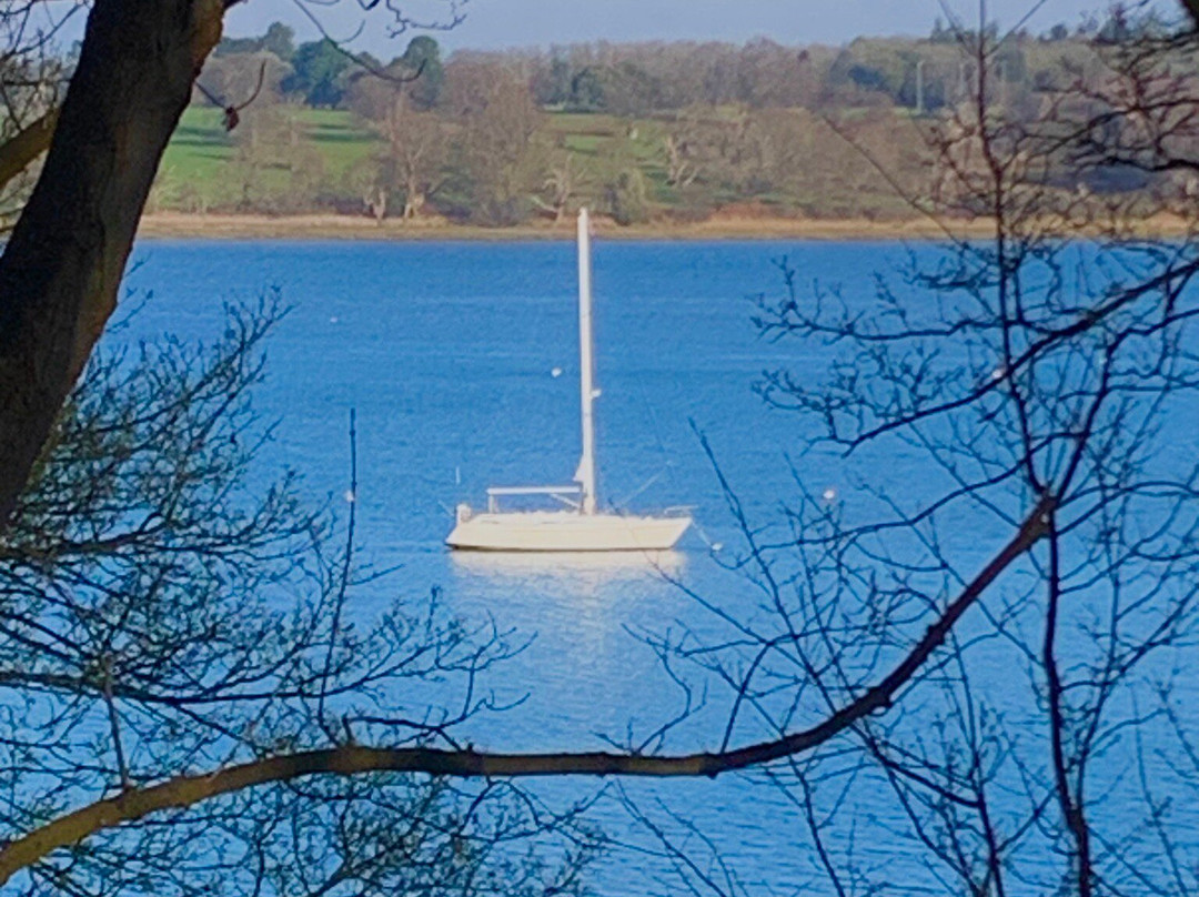 Pin Mill Wrecks-Pin Mill必去景点