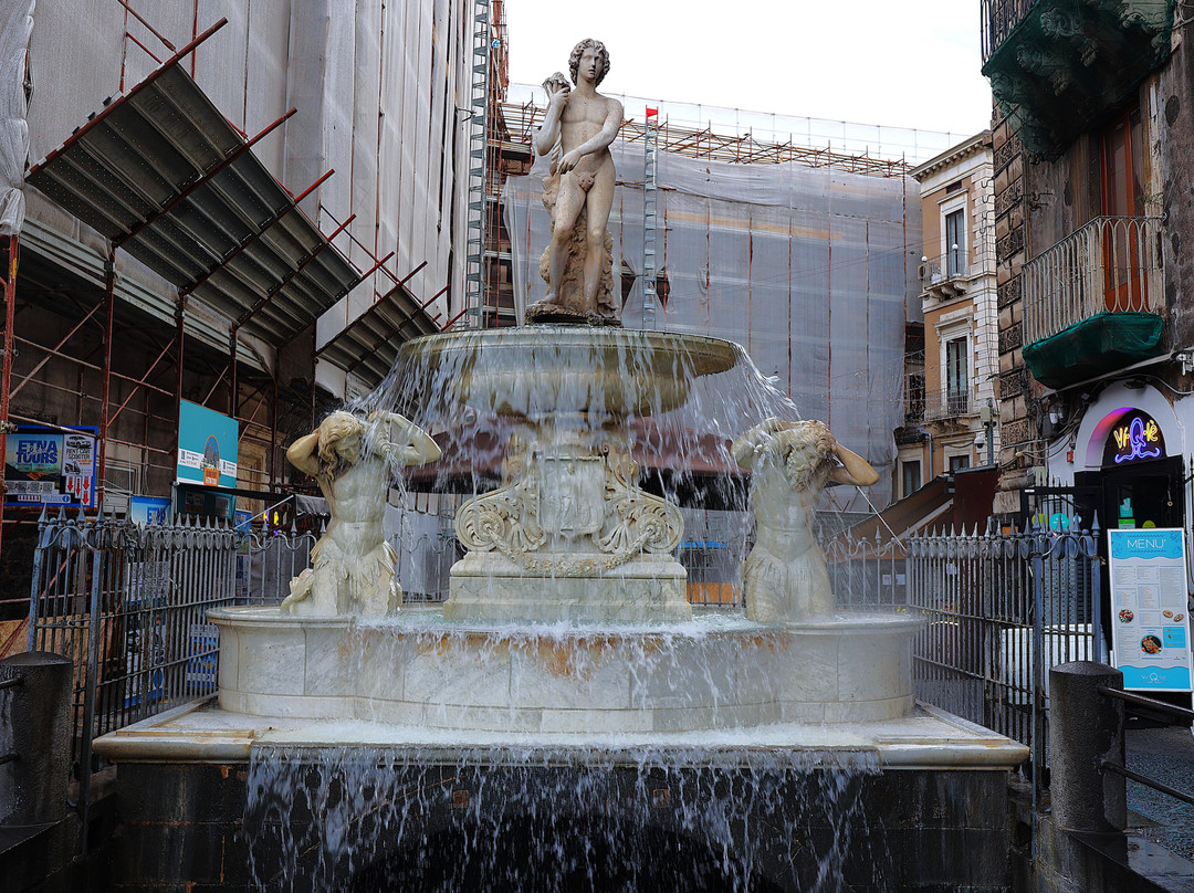 Fontana dell'Amenano-卡塔尼亚必去景点