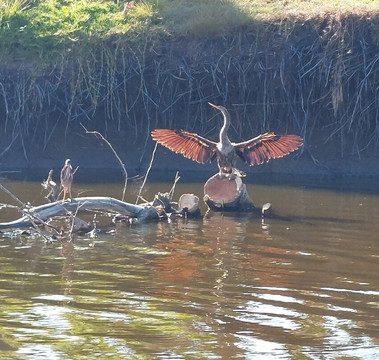 Laguna Ventanilla-Mazunte必去景点