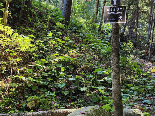 Sentiers du Moulin-Lac-Beauport必去景点