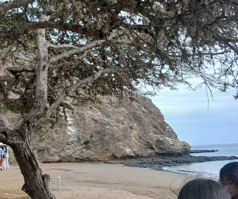 Isla de la Plata-Puerto Lopez必去景点