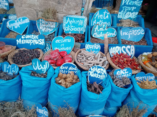 Festival Gnaoua-索维拉必去景点