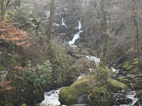 The Falls Spa-Borrowdale必去景点