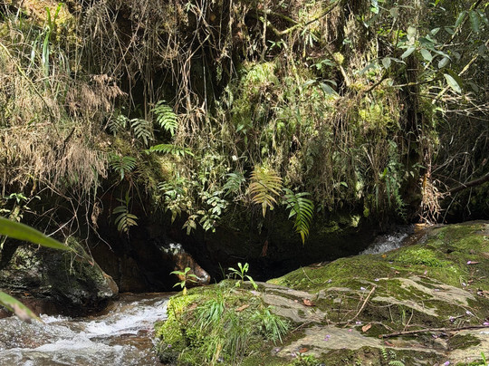 NÓMADAS DMC-卡塔赫纳必去景点