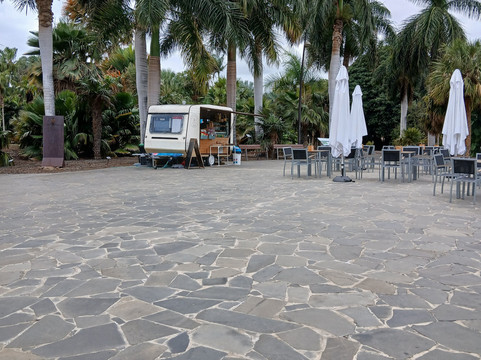 Jardín Botánico del Palmetum-圣克鲁斯-德特内里费必去景点