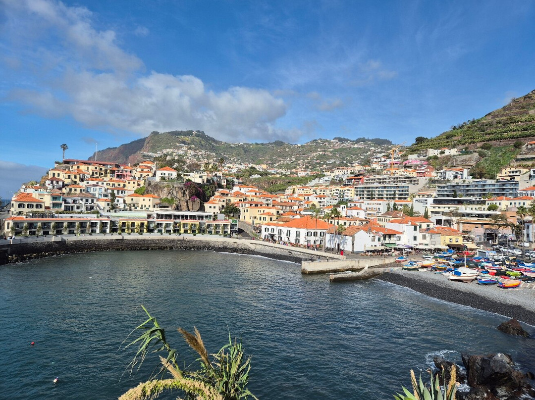 The Câmara de Lobos promenade-马德拉群岛必去景点